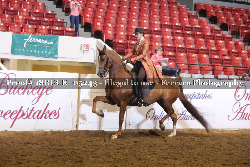 Proof 18BUCK_05243