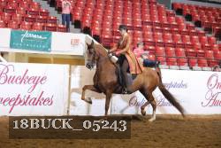18BUCK_05243 proof