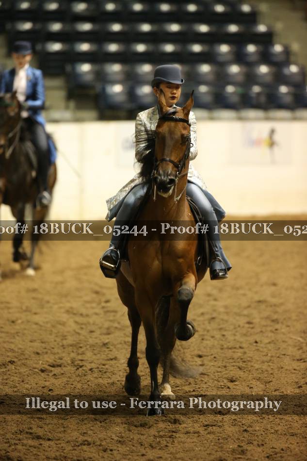 Proof 18BUCK_05244
