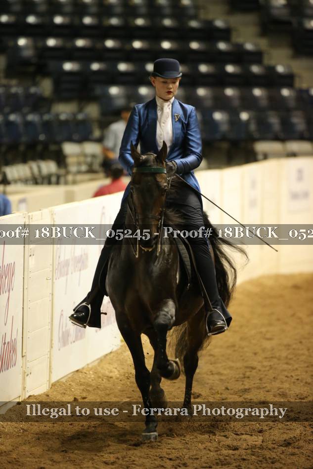 Proof 18BUCK_05245