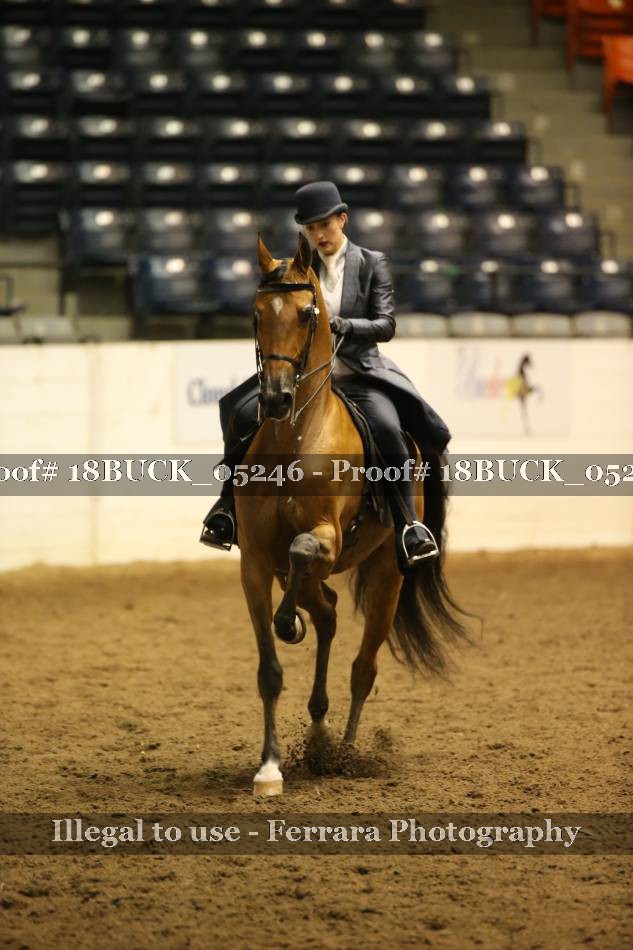Proof 18BUCK_05246