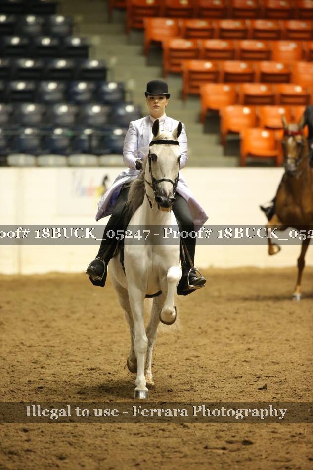 Proof 18BUCK_05247