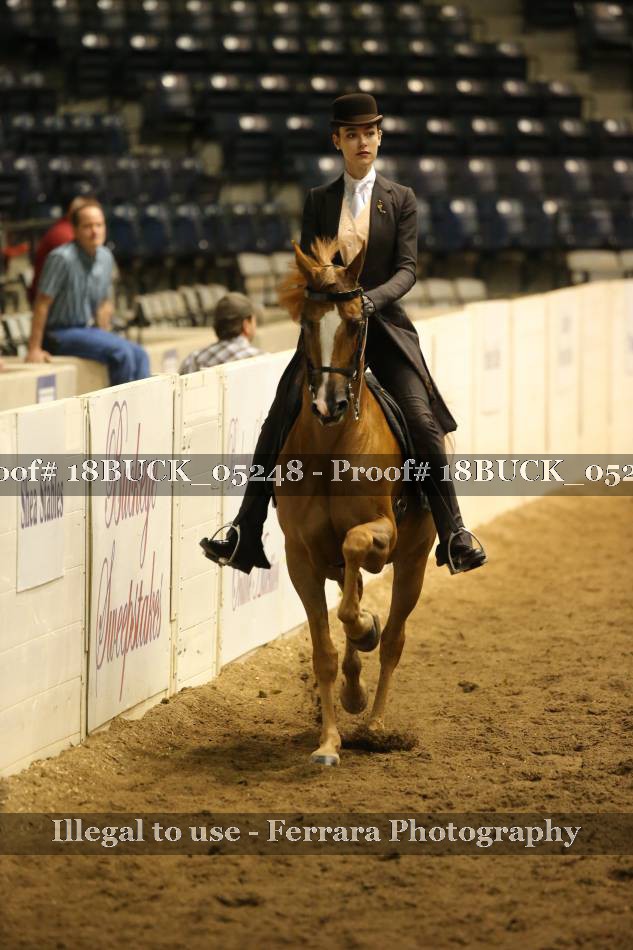 Proof 18BUCK_05248