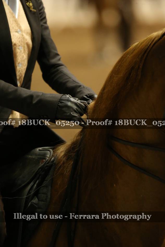 Proof 18BUCK_05250