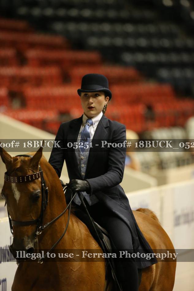 Proof 18BUCK_05251