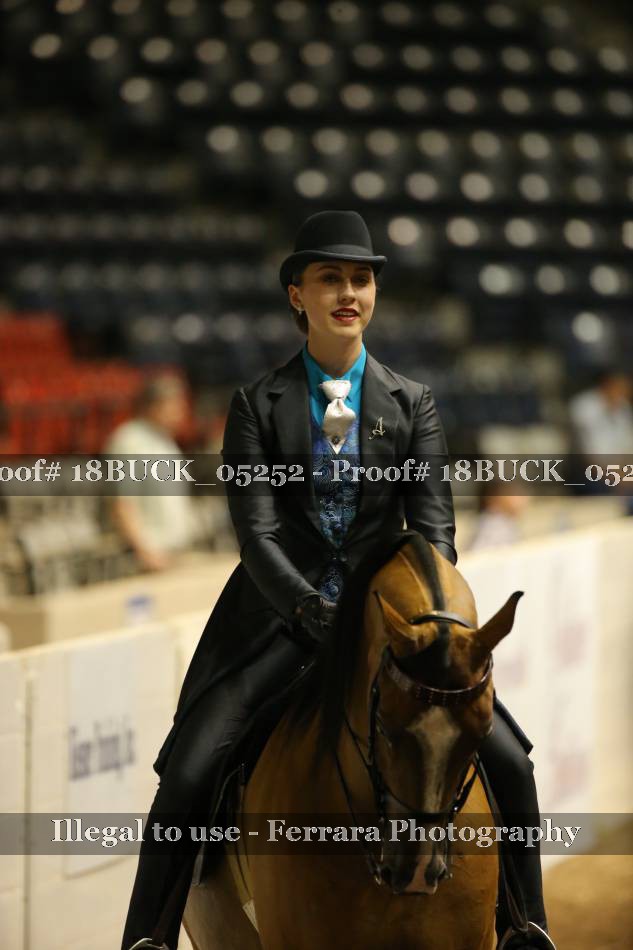 Proof 18BUCK_05252