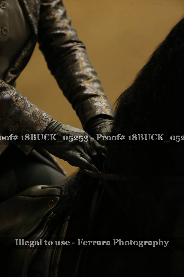 Proof 18BUCK_05253