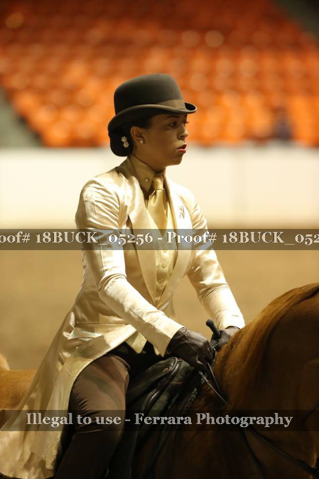 Proof 18BUCK_05256