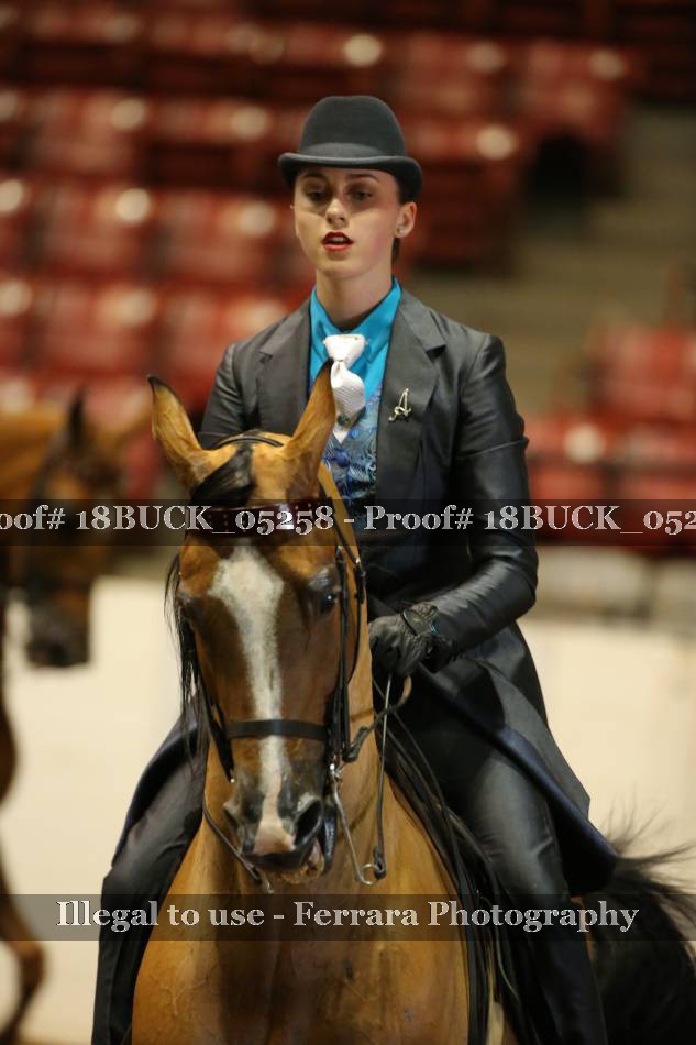 Proof 18BUCK_05258
