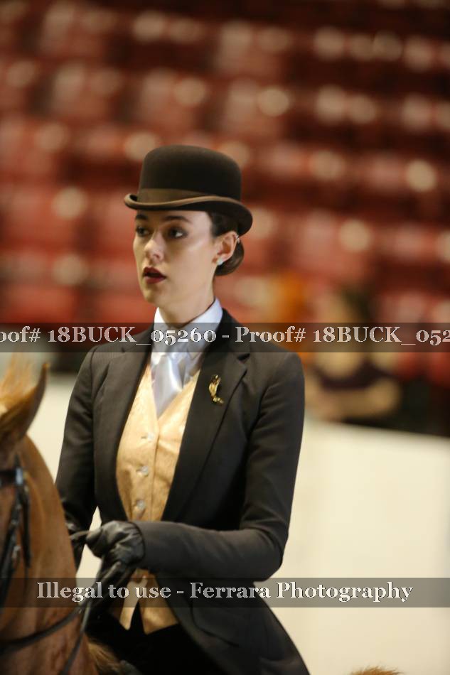 Proof 18BUCK_05260