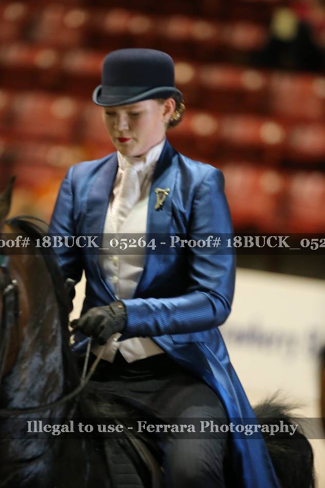 Proof 18BUCK_05264