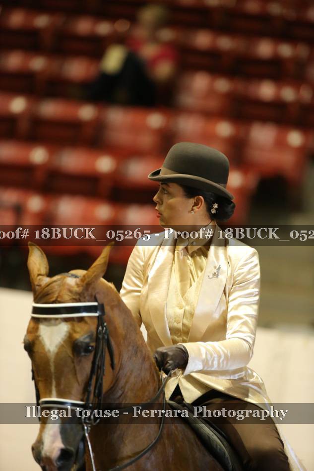 Proof 18BUCK_05265