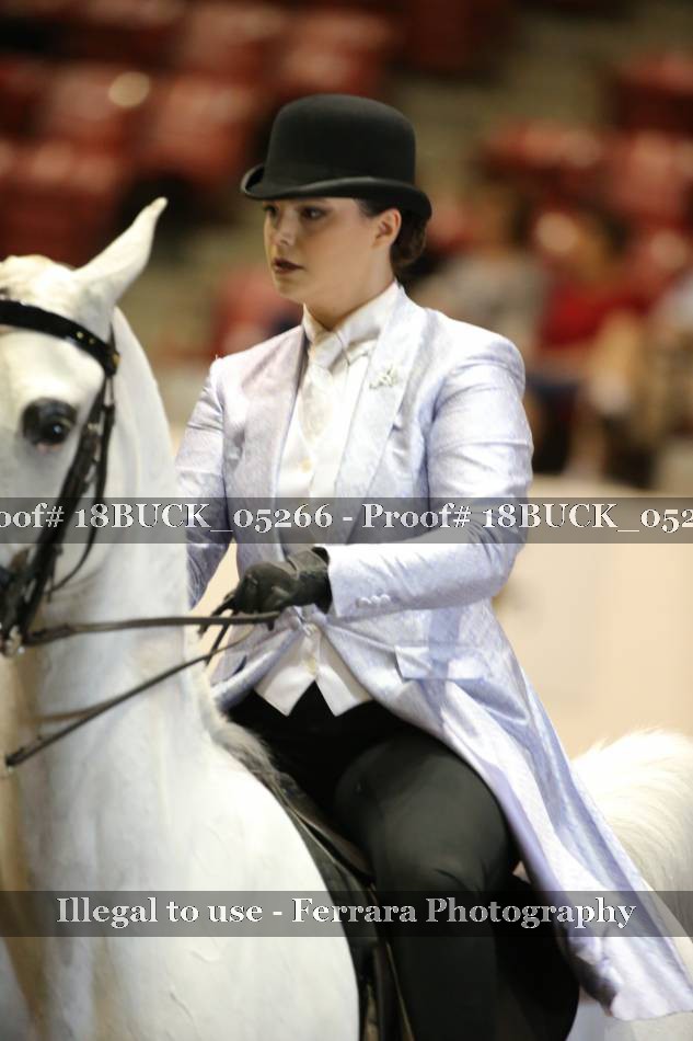 Proof 18BUCK_05266