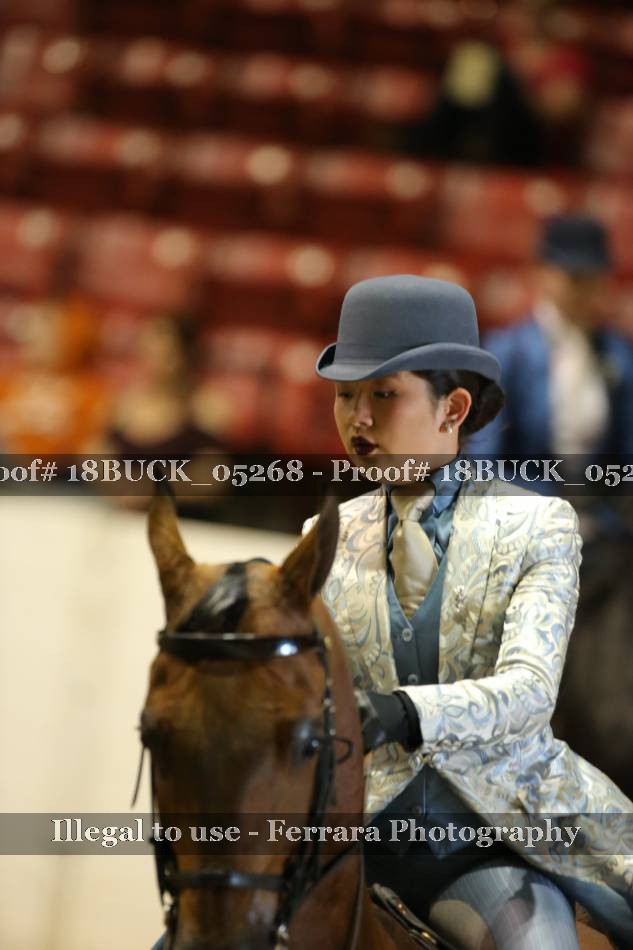 Proof 18BUCK_05268
