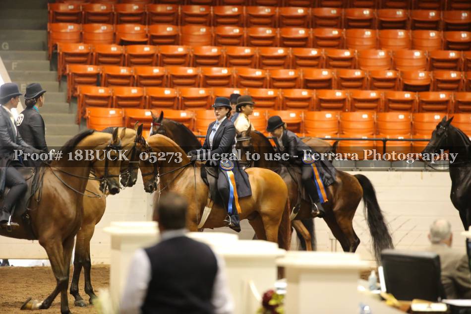 Proof 18BUCK_05273