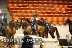 18BUCK_05273 proof