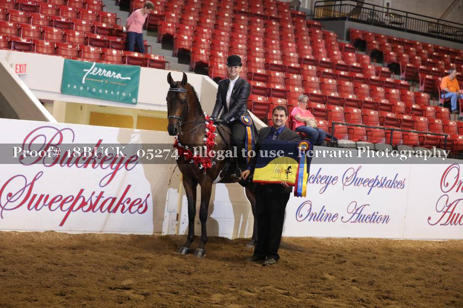 Proof 18BUCK_05274