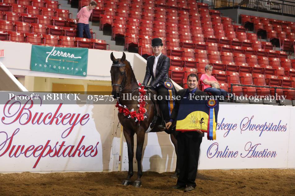 Proof 18BUCK_05275