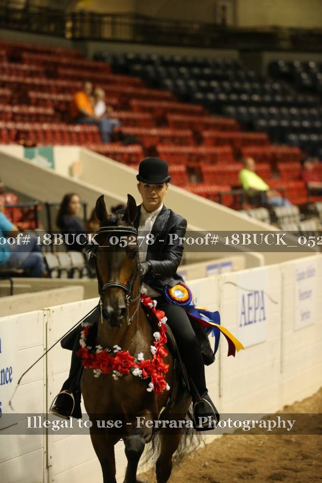 Proof 18BUCK_05278