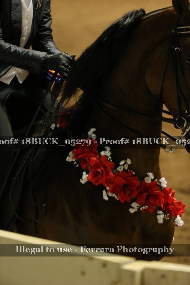 Proof 18BUCK_05279