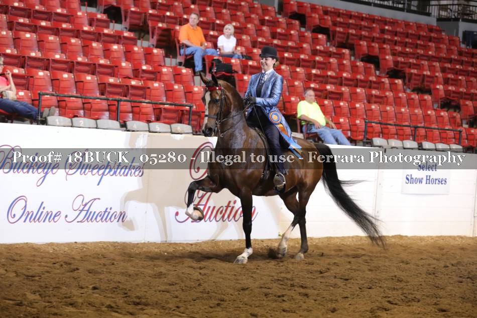 Proof 18BUCK_05280