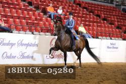 18BUCK_05280 proof