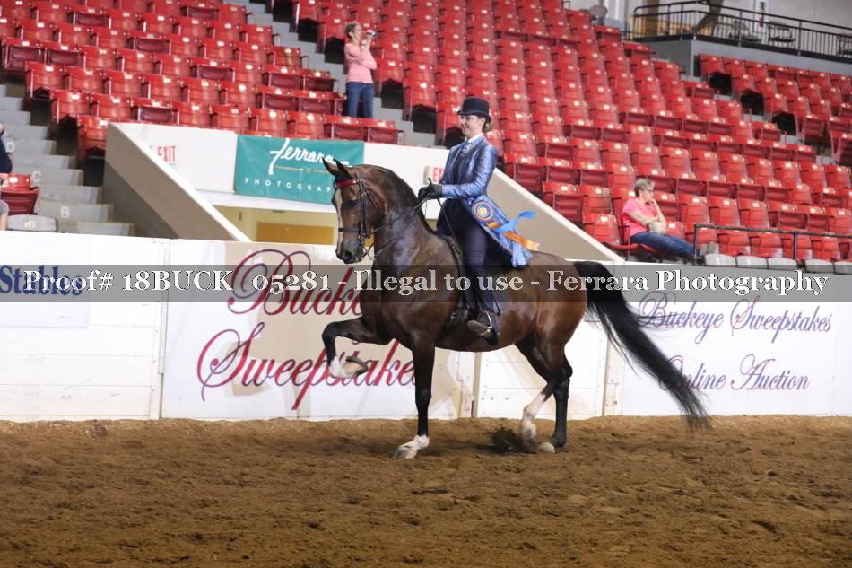Proof 18BUCK_05281