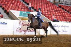 18BUCK_05281 proof