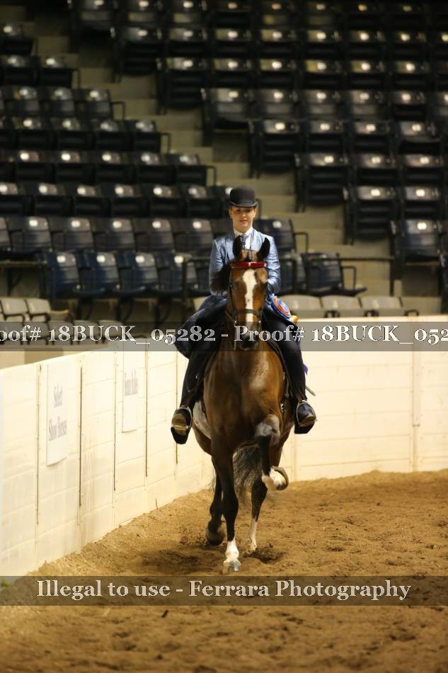 Proof 18BUCK_05282