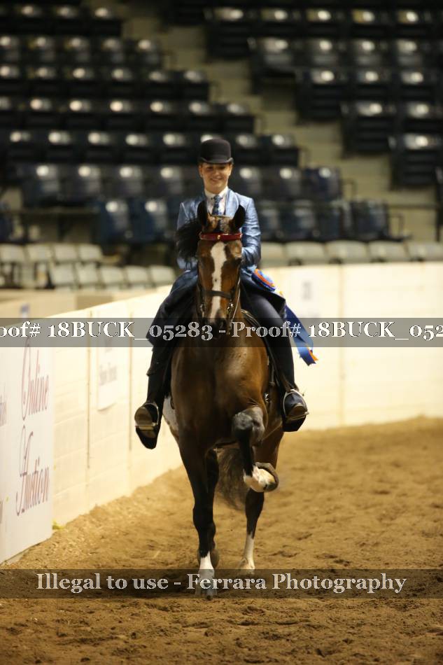 Proof 18BUCK_05283