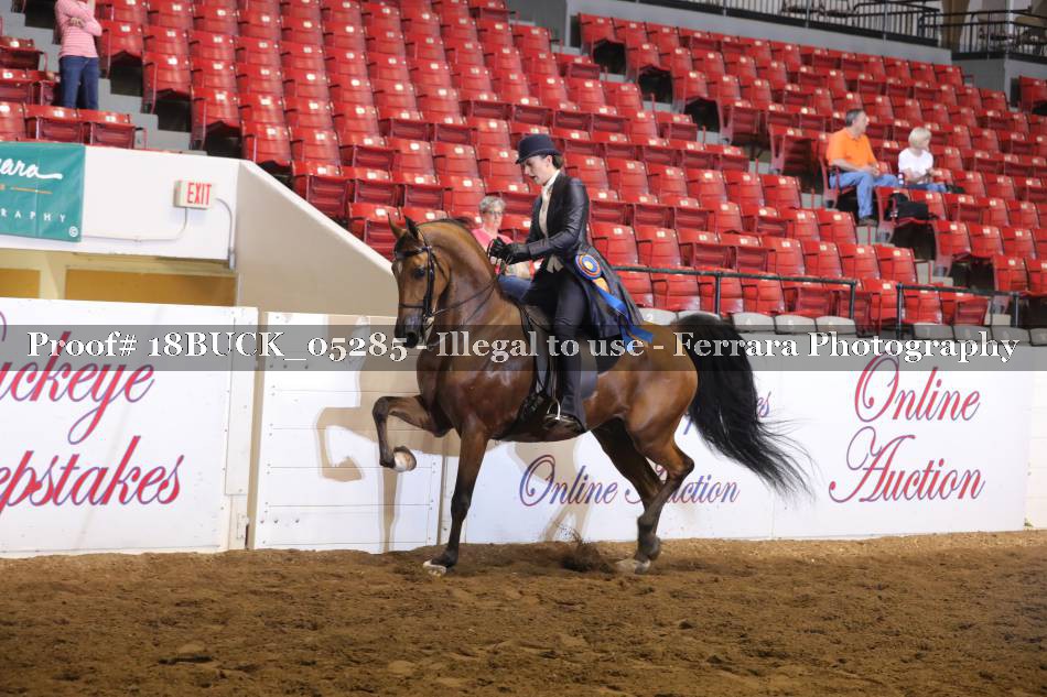Proof 18BUCK_05285