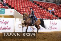 18BUCK_05285 proof