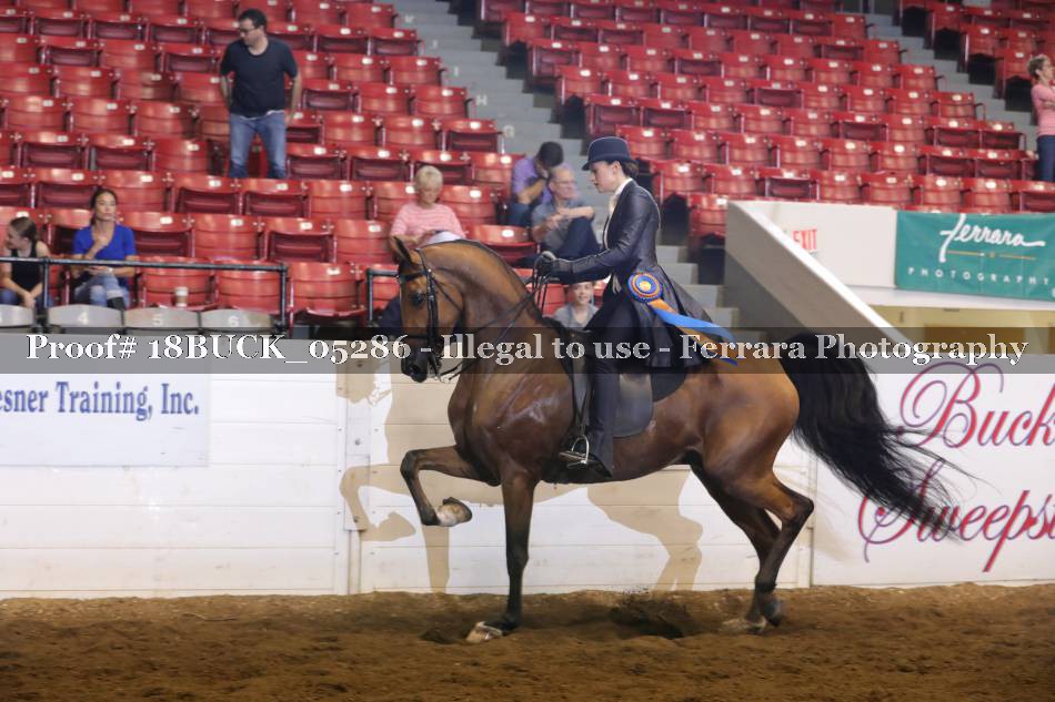 Proof 18BUCK_05286