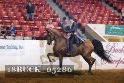 18BUCK_05286 proof