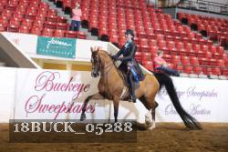 18BUCK_05288 proof