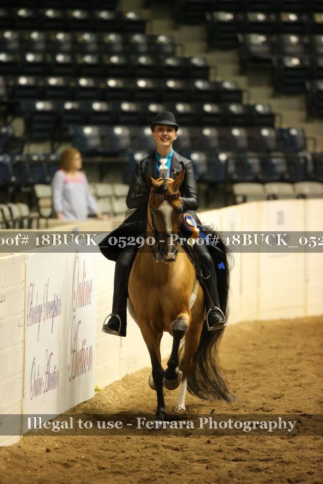 Proof 18BUCK_05290