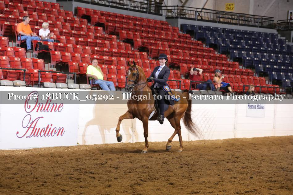 Proof 18BUCK_05292