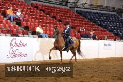 18BUCK_05292 proof