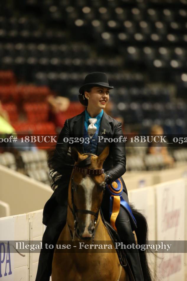 Proof 18BUCK_05293