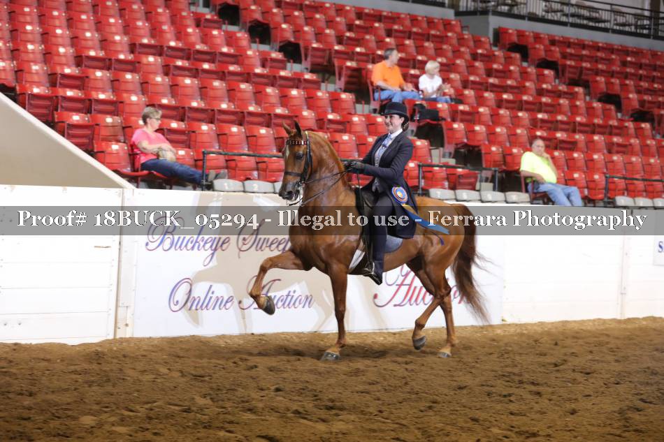 Proof 18BUCK_05294