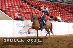 18BUCK_05294 proof