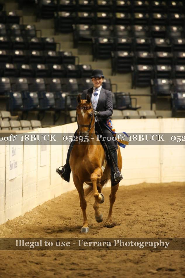 Proof 18BUCK_05295