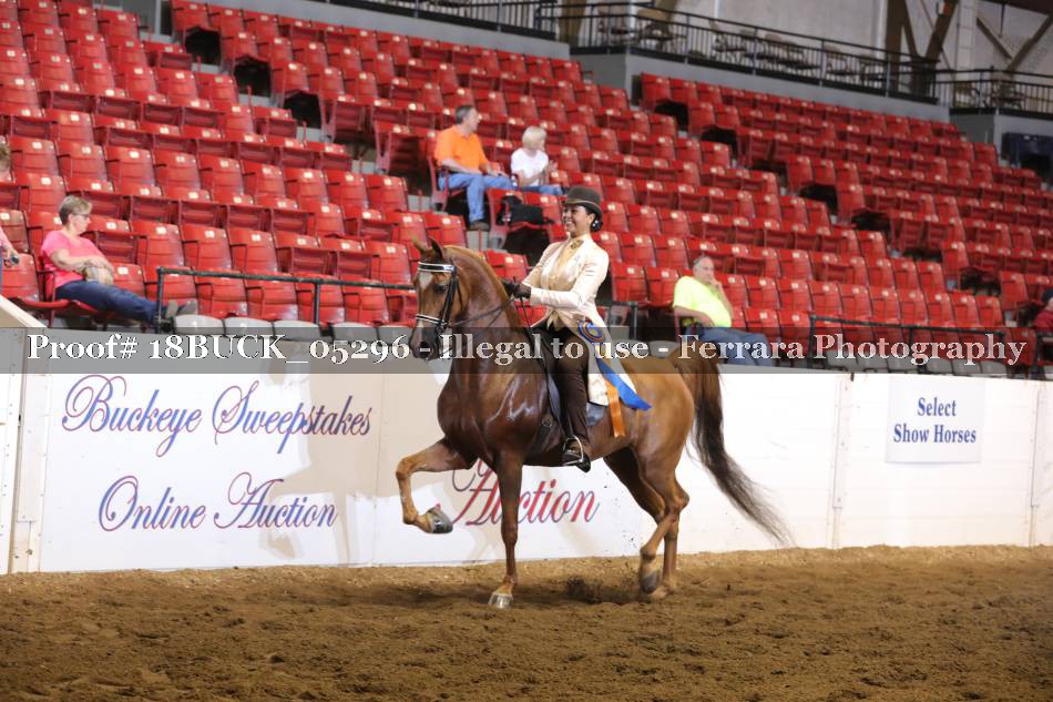 Proof 18BUCK_05296