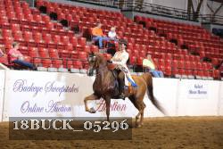 18BUCK_05296 proof
