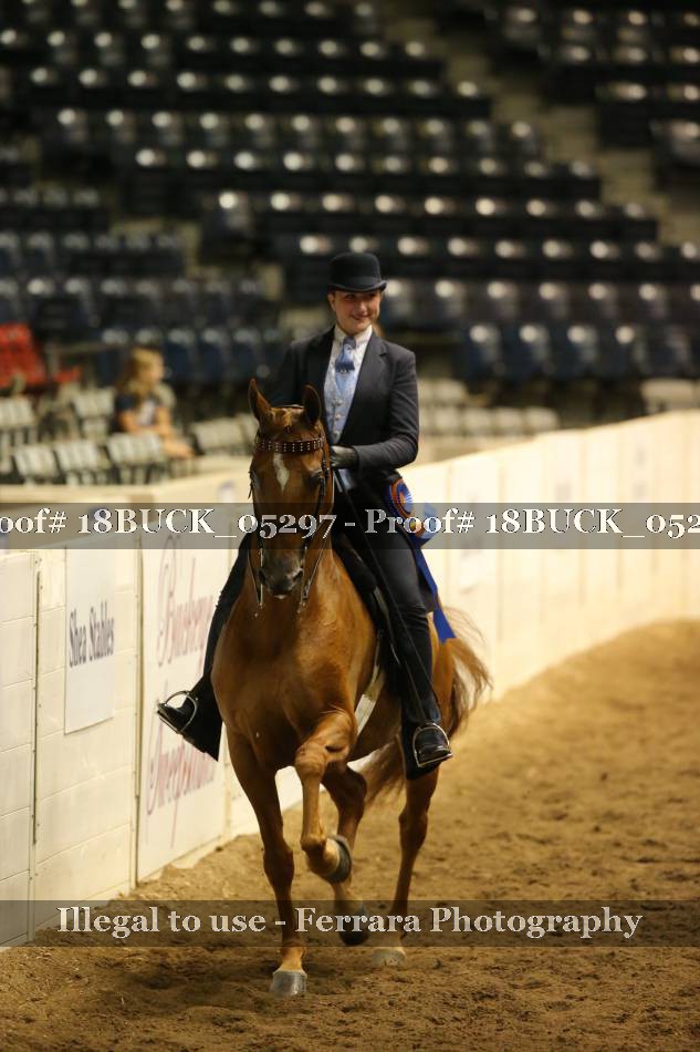 Proof 18BUCK_05297