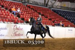18BUCK_05300 proof