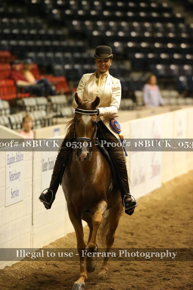 Proof 18BUCK_05301