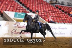 18BUCK_05302 proof