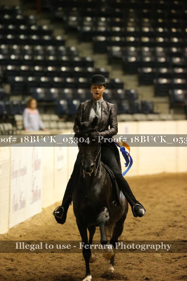 Proof 18BUCK_05304