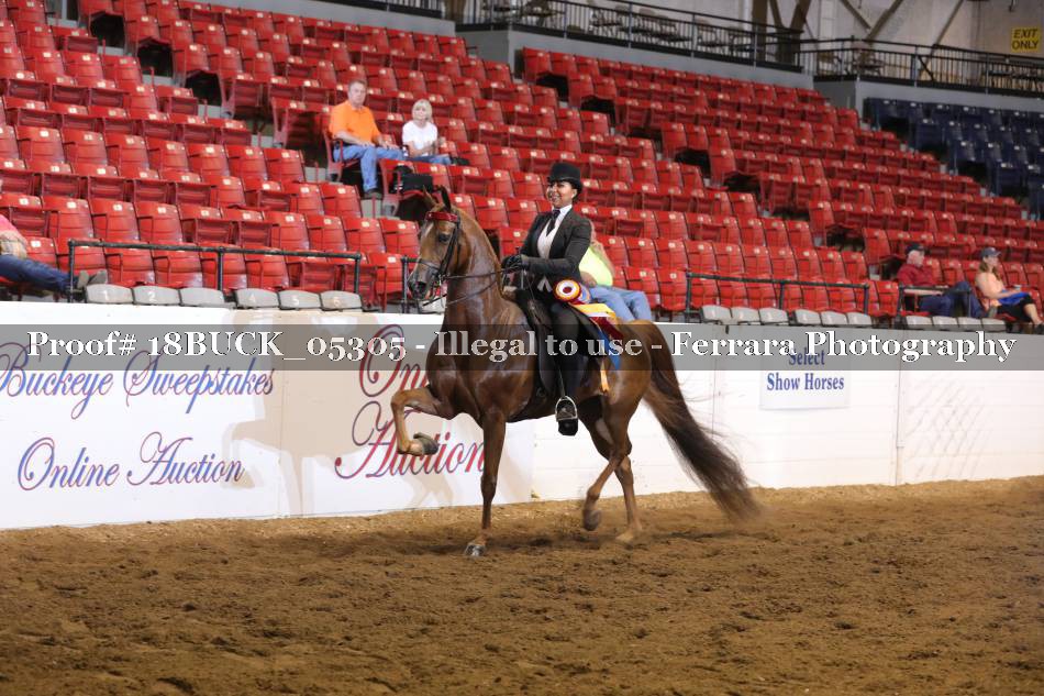 Proof 18BUCK_05305